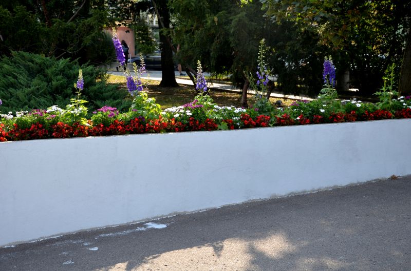 How Decorative Concrete Walls Improve Property Value